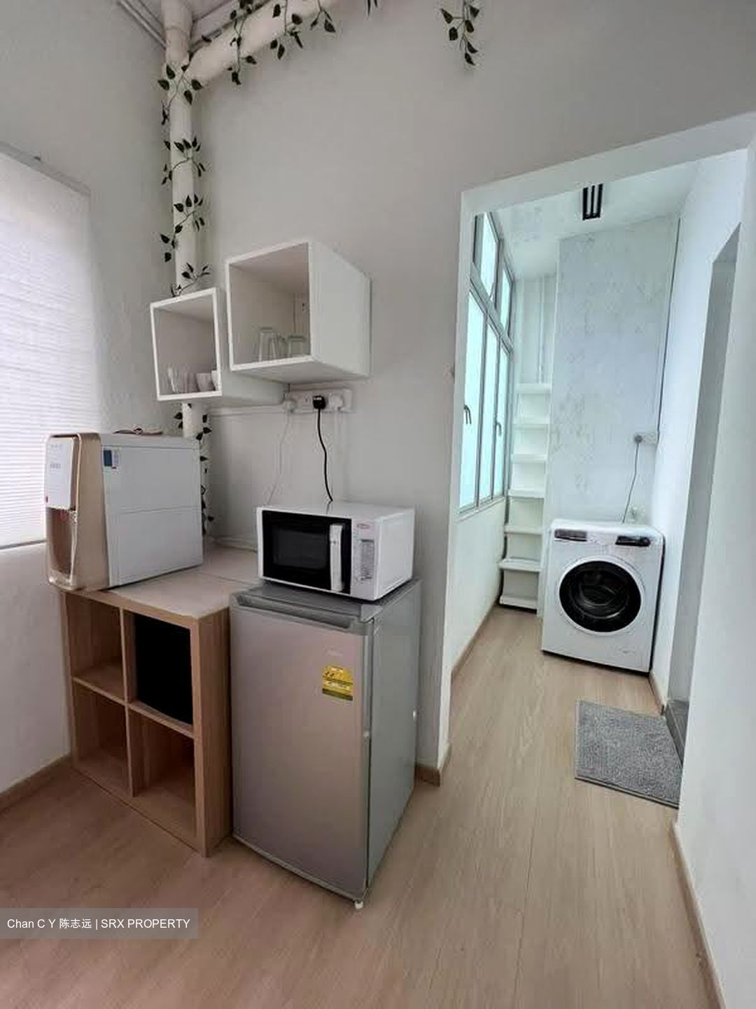 Balestier Road (D12), Shop House #618835061